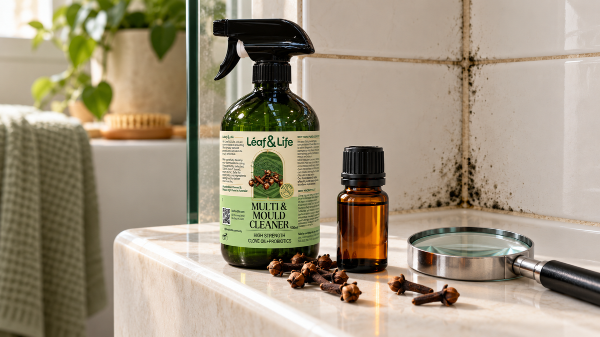 Does Clove Oil Kill Mould? What Australian Homes Need to Know