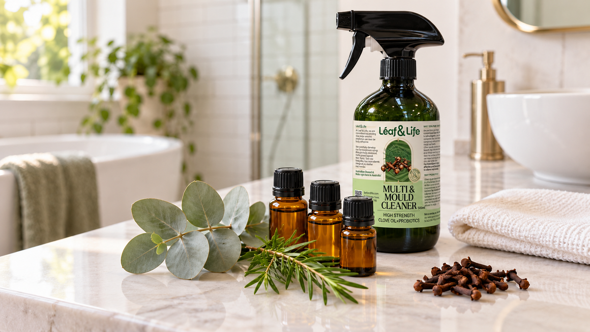 How to Clean Mould on Window Sills, Tiles, Walls and Timber